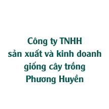 Công ty TNHH sản xuất và kinh doanh giống cây trồng Phương Huyền