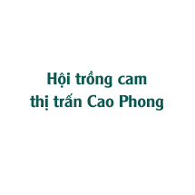 Hội trồng cam thị trấn Cao Phong