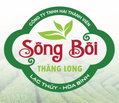 CÔNG TY TNHH HAI THÀNH VIÊN SÔNG BÔI THĂNG LONG